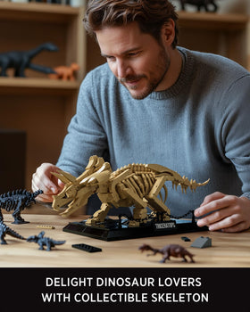 Nifeliz Triceratops display with nameplate and rocky base for character