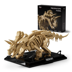 Nifeliz Triceratops fossil model base display for desk decor and study