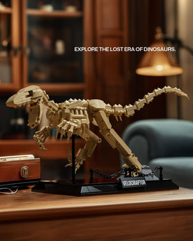 Nifeliz Velociraptor fossil model during assembly showing lean frame