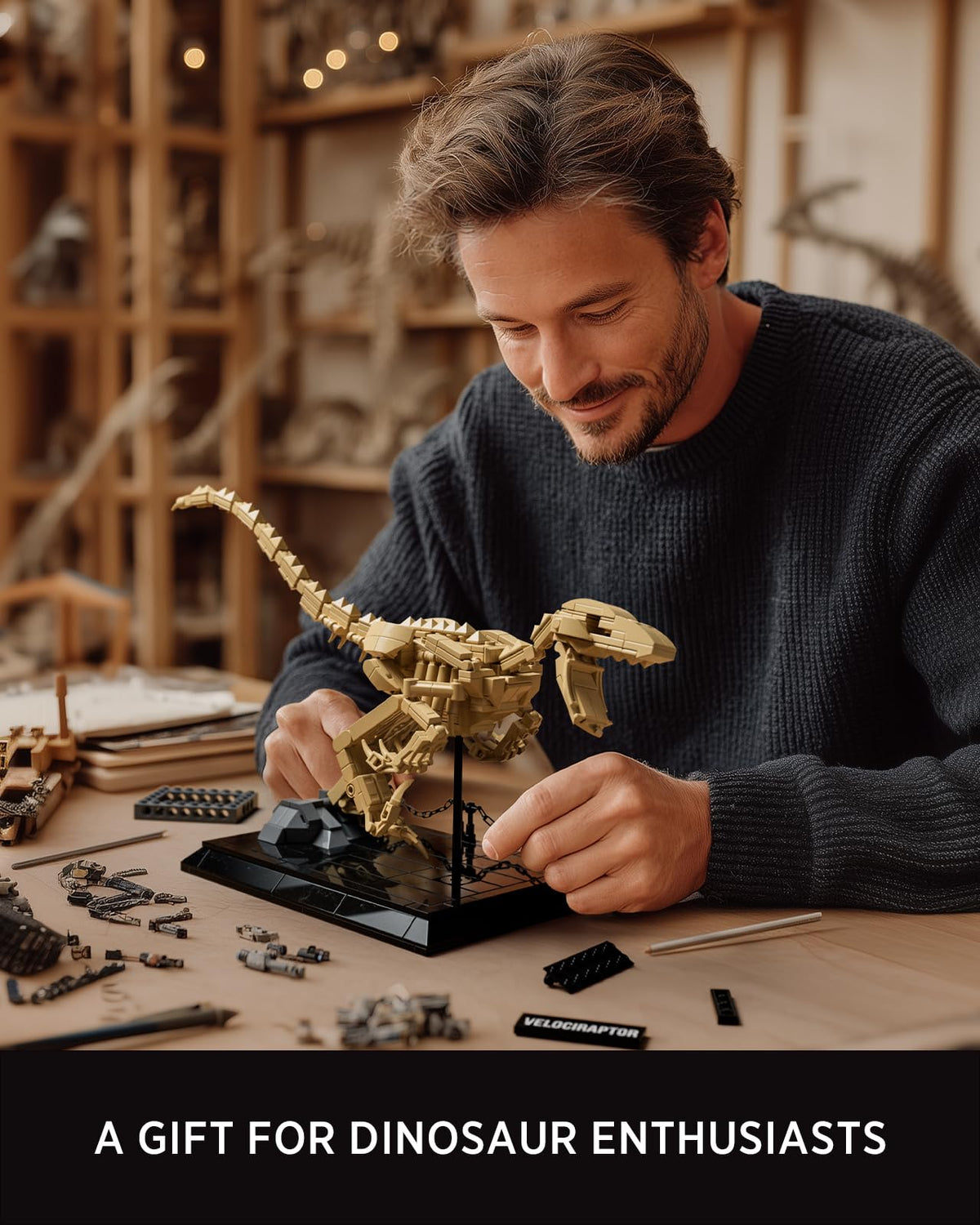 Nifeliz Velociraptor fossil model shows intricate bone structure details