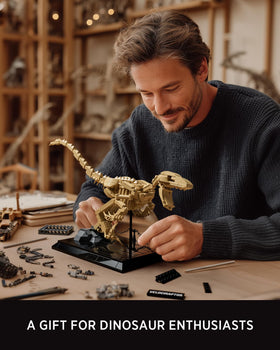 Nifeliz Velociraptor fossil model shows intricate bone structure details