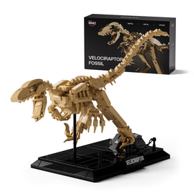 Nifeliz Velociraptor fossil model on display base for museum-like presentation
