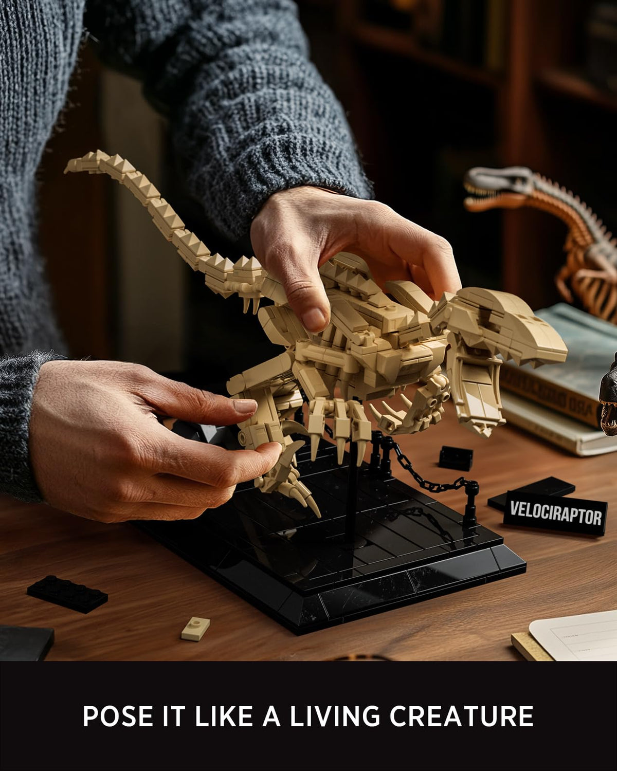 Nifeliz Velociraptor model with sturdy base for stable shelf display