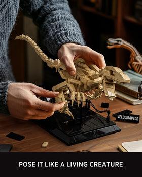 Nifeliz Velociraptor model with sturdy base for stable shelf display