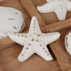 NIKKY HOME Coastal ambience accentuates any beach-themed room and adds playful charm.