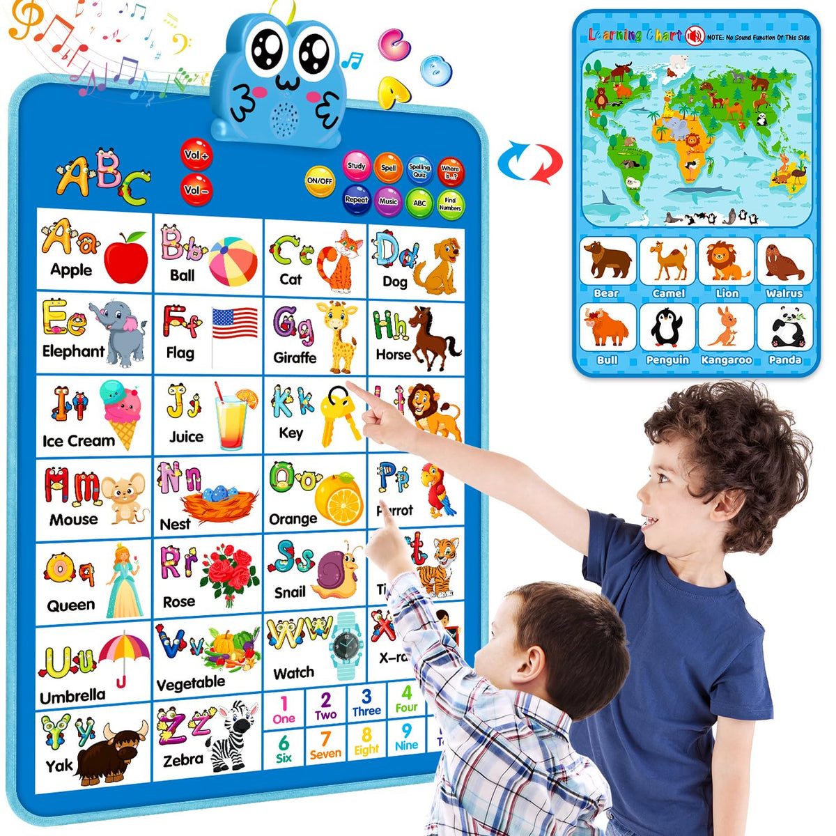 Niwoed blue double-sided wall chart front view for interactive learning