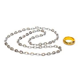 The Noble Collection One Ring replica with white metal chain for wearing as a pendant