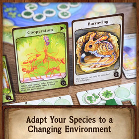North Star Games Evolution artwork-cards showcase striking visuals that enhance immersion.