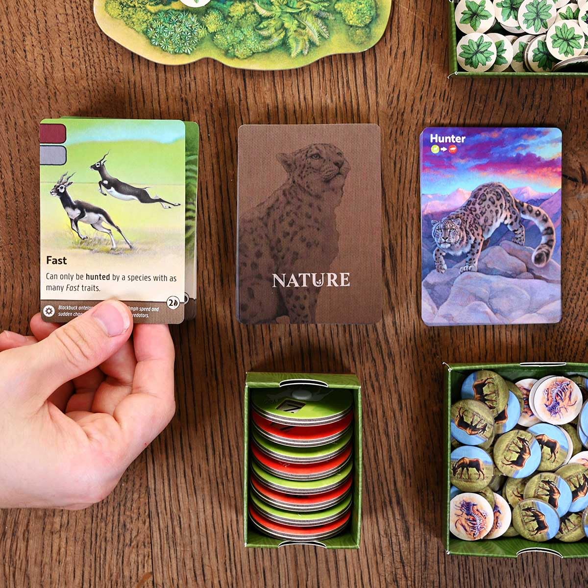 North Star Games Nature Board Game artwork celebrates wildlife detail in earthy tones.