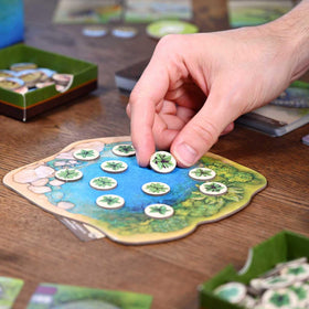 North Star Games Nature Board Game ecosystem play in action for strategic competition.