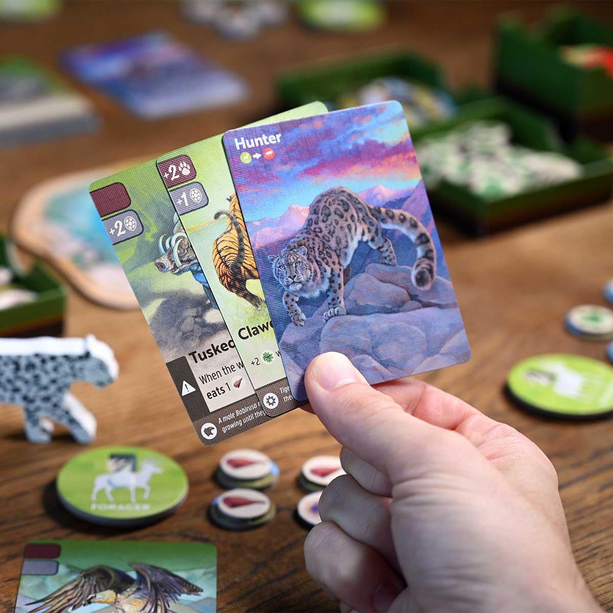 North Star Games Nature Board Game trait cards close-up showing diverse abilities for adaptation.