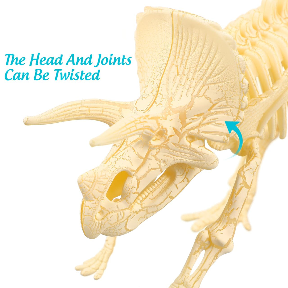 NUOLUX 4D stegosaurus skeleton adds interactive reconstruction to curious minds.