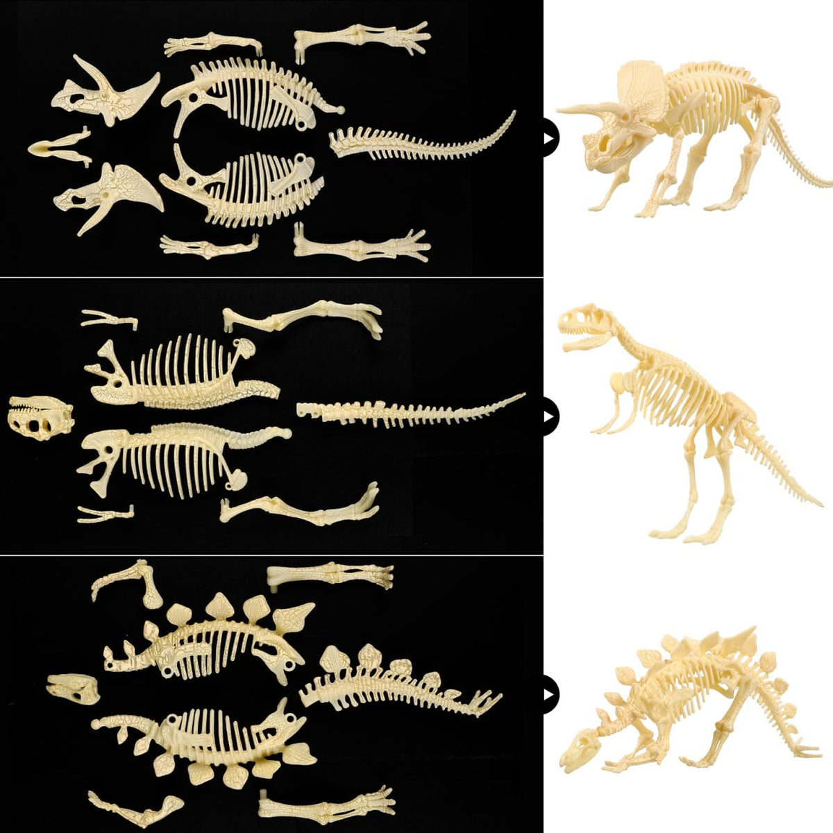NUOLUX 4D triceratops skeleton for engaging assembly and fine motor skill practice.