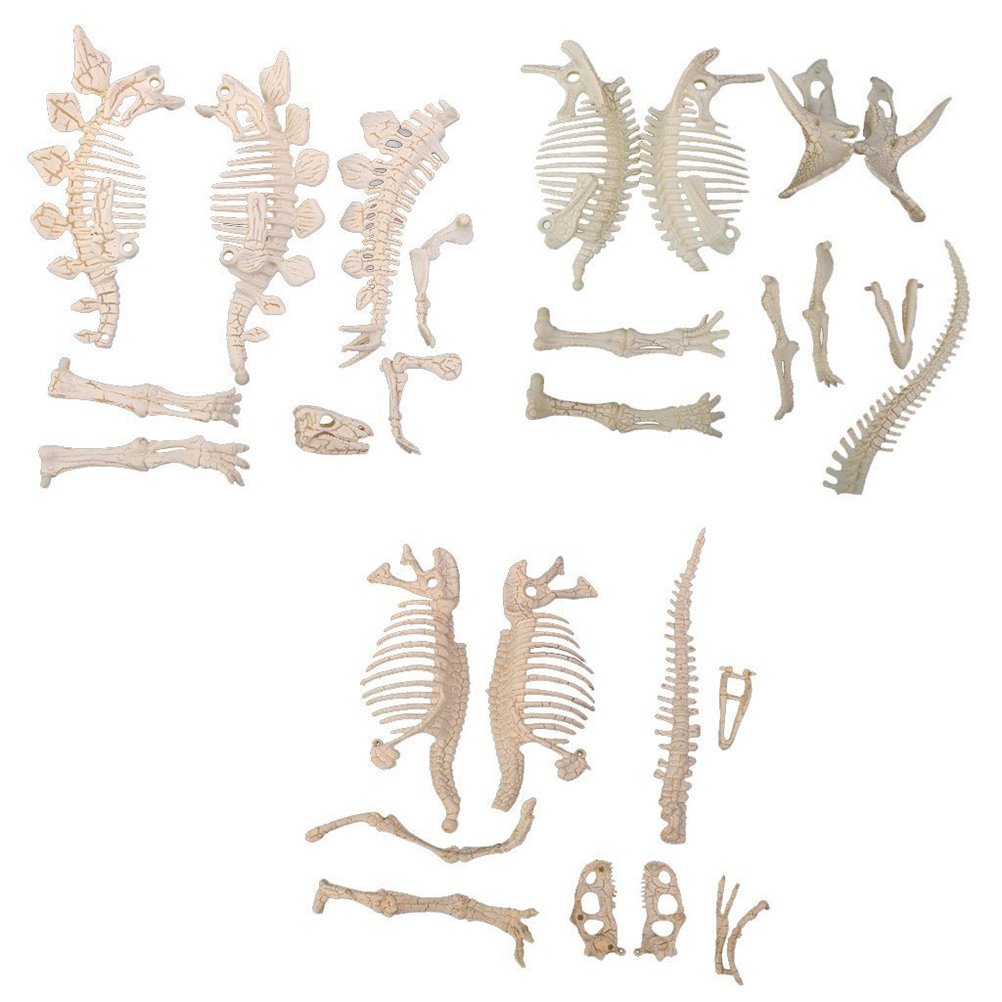 NUOLUX 4D tyrannosaurus skeleton kit for hands-on learning and puzzle play.