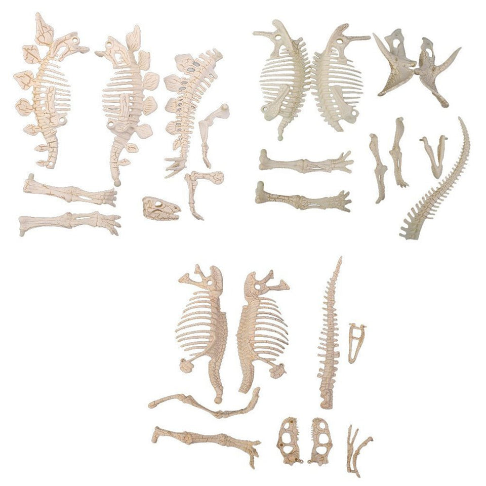 NUOLUX 4D tyrannosaurus skeleton kit for hands-on learning and puzzle play.