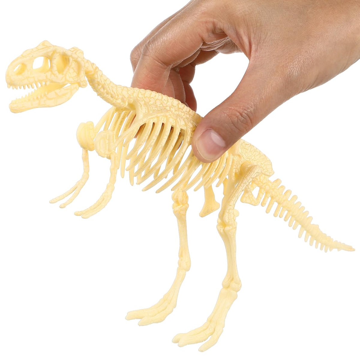 NUOLUX dinosaur skeleton display doubles as stylish desk decor.