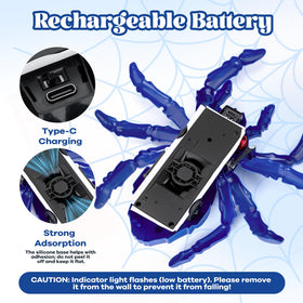 Nurcazo indoor prank play with lifelike spider toy