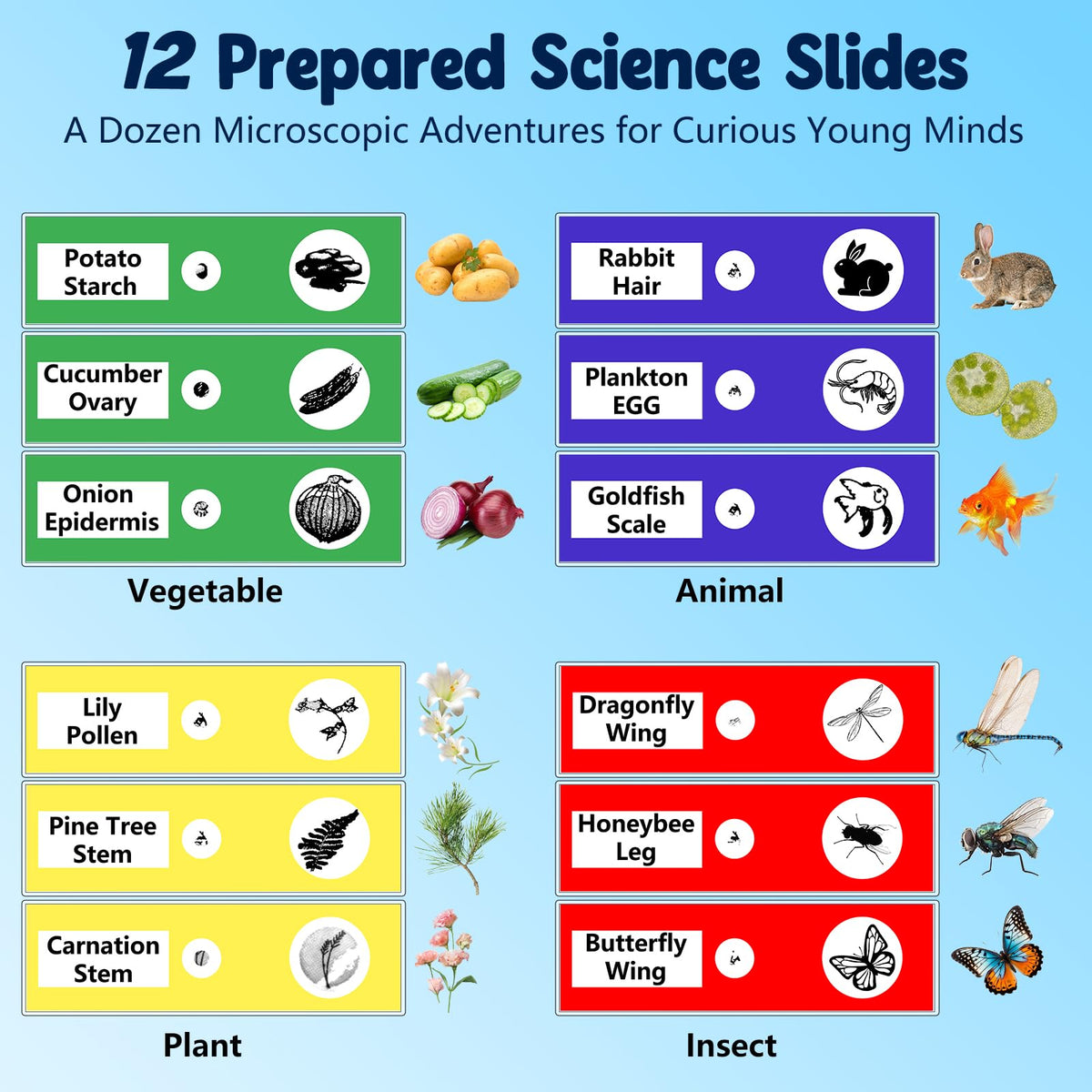 Odatay included 12 prepared slides enable quick science exploration.