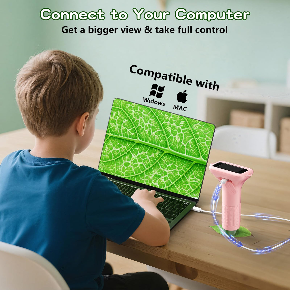 Includes 12 slides with plants, vegetables, insects, and animals for study