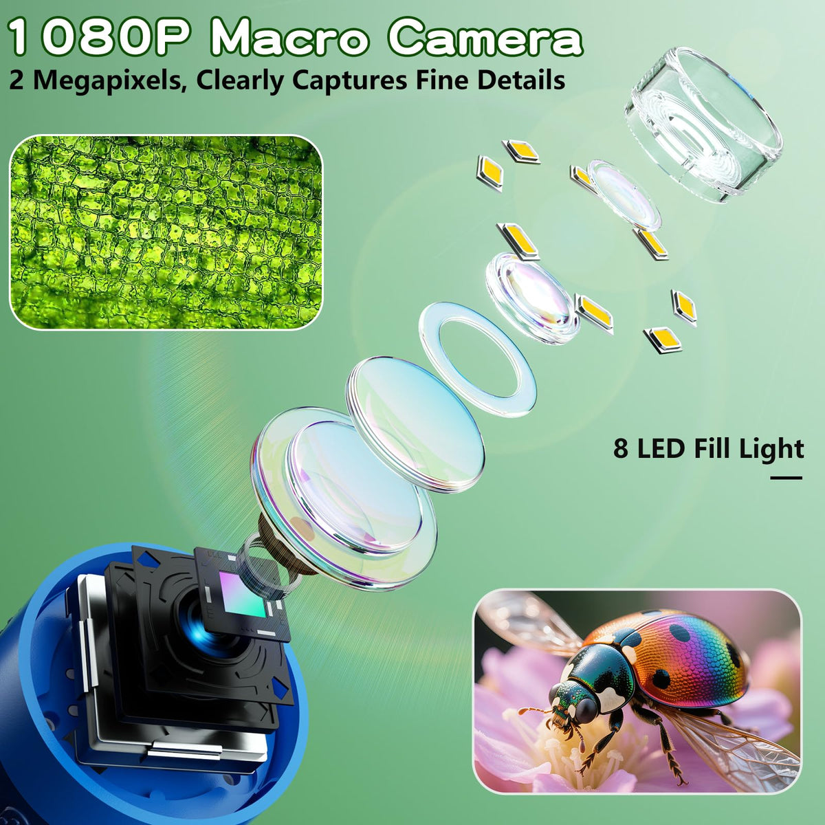 Odatay Microscope provides bright LEDs for clear viewing in dim light.