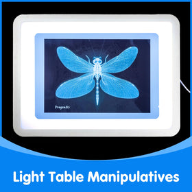 Odoorgames Insect Xrays fly Xrays invites quick comparisons of small features under backlight