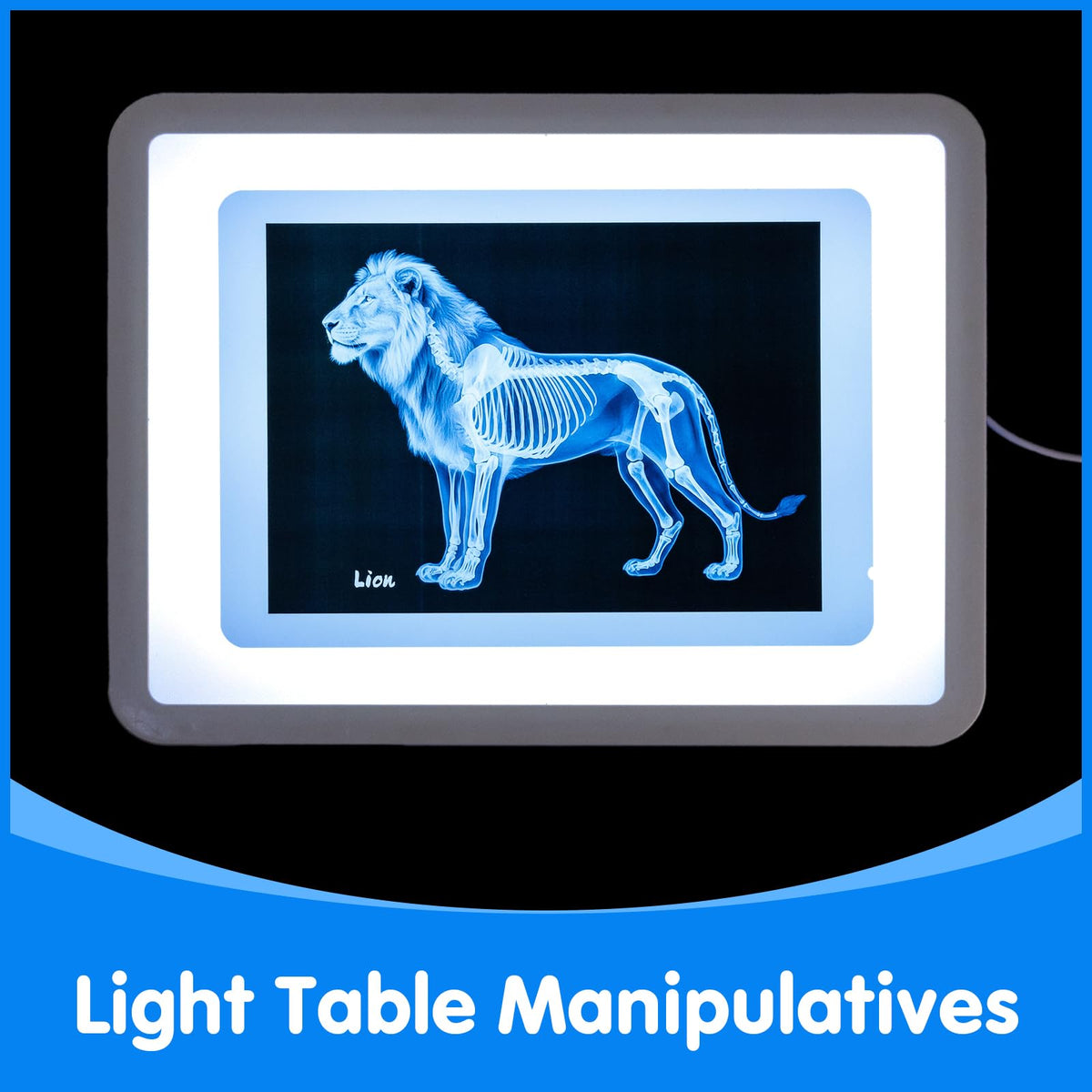 Odoorgames Zoo Animal Xray visuals enable pretend vet play with realistic diagnostics.
