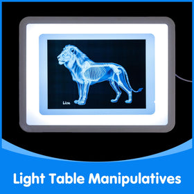 Odoorgames Zoo Animal Xray visuals enable pretend vet play with realistic diagnostics.