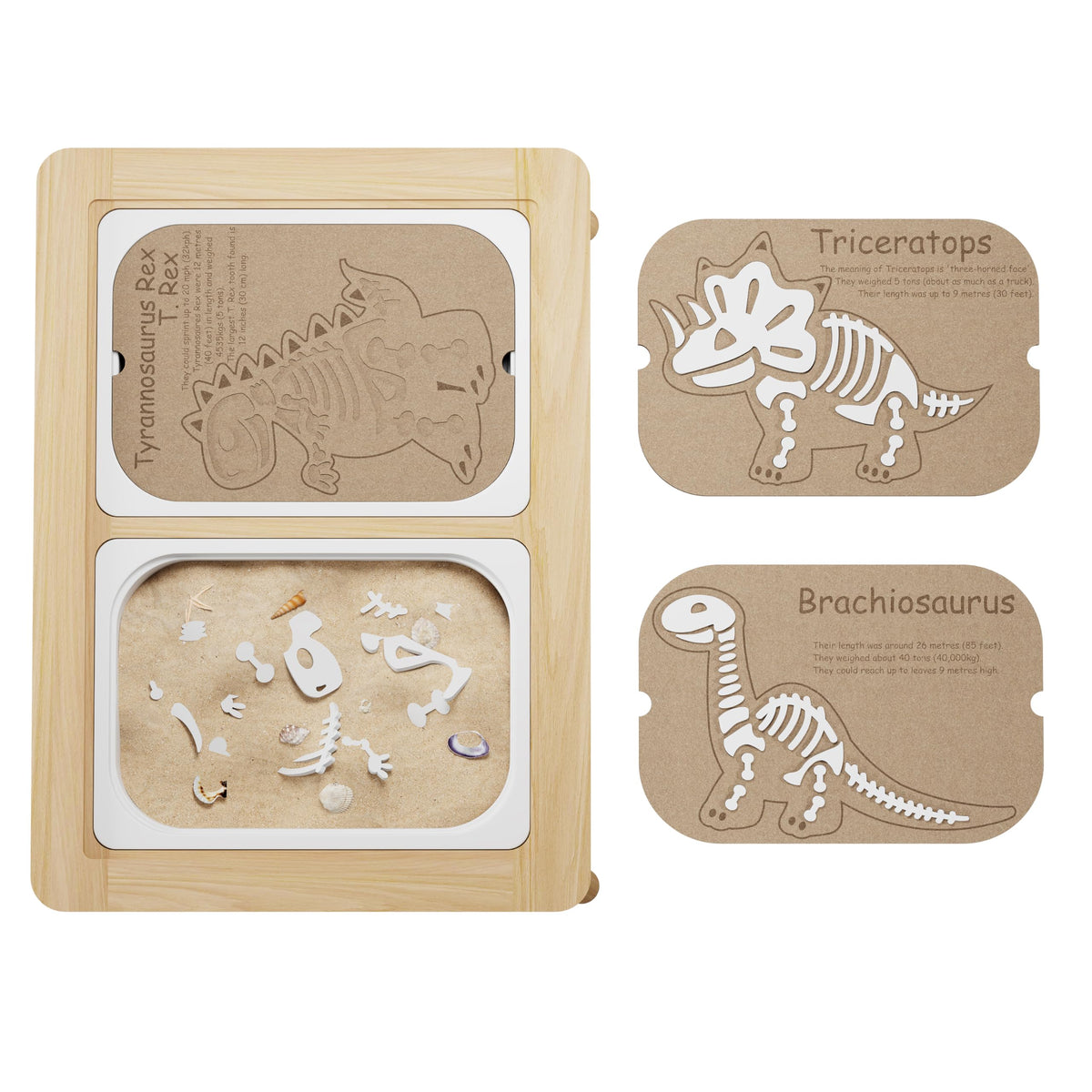 Ogears Sensory Table insert dinosaurs-puzzle-board helps kids arrange fossil bones in imaginative play