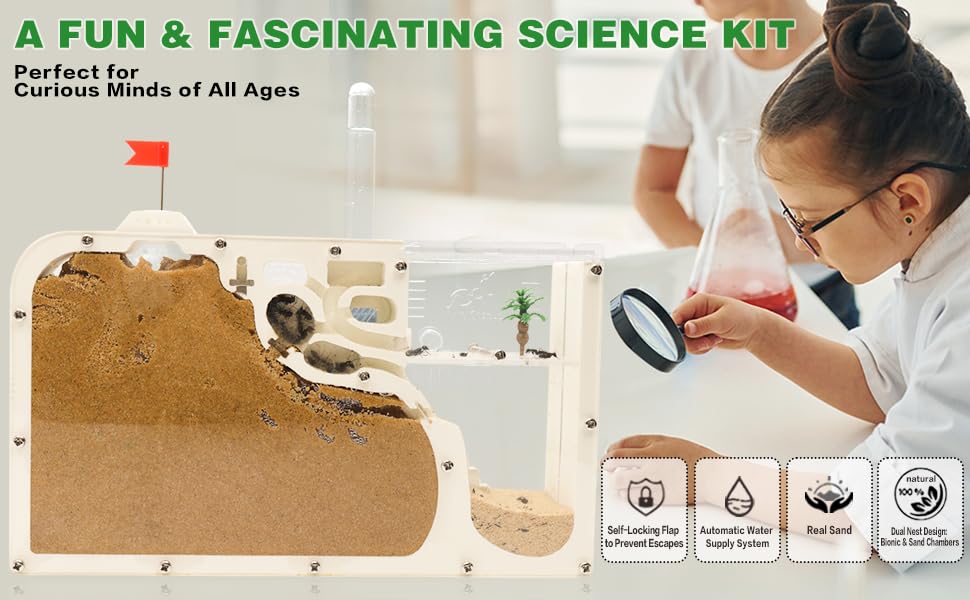 Decorative tree embellishment enhances engaging science exploration.
