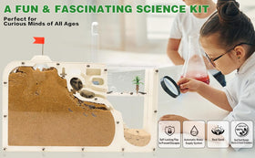 Decorative tree embellishment enhances engaging science exploration.