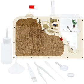 Oialonne Ant Farm Castle setup with clear panels for easy observation.