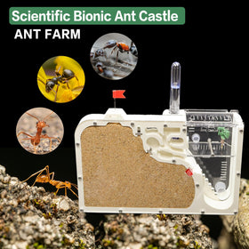 Water tower keeps ants hydrated during play and study.