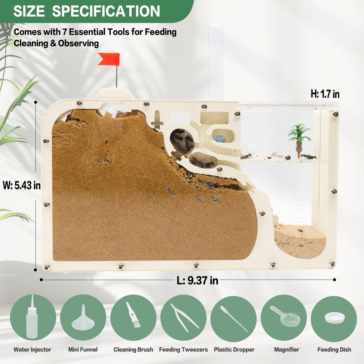 Yellow sand inside the habitat highlights tunnels and digging activity.