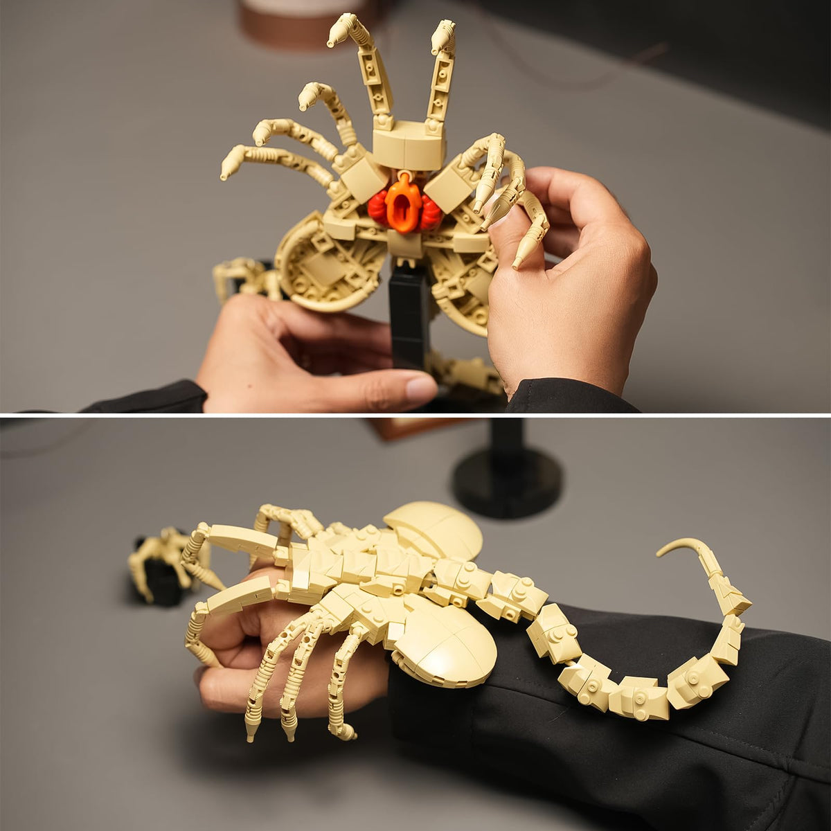 Onederbkk Horror decor Facehugger adds dramatic ambiance to home or shop.