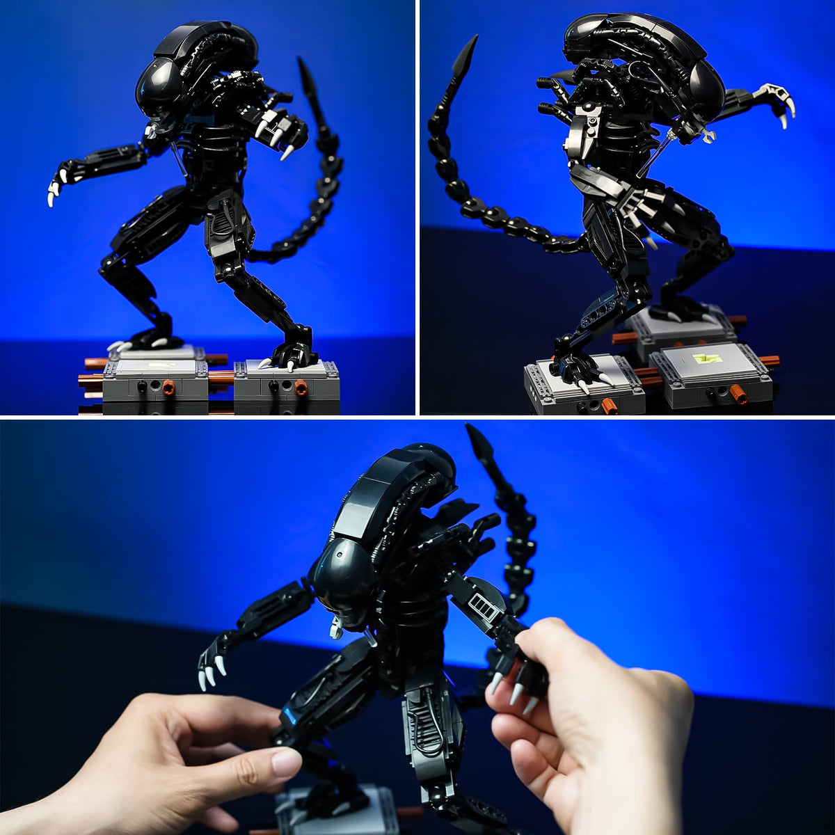 Onederbkk Xenomorph detail face highlights distinctive alien features for display.