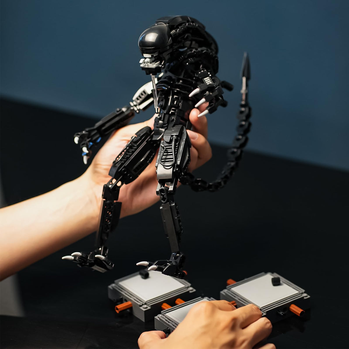 Onederbkk Xenomorph packaging box is sturdy and travel-friendly.