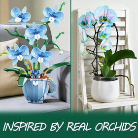 ONIMISC Blue Orchid completed display shows vibrant color and durable construction.