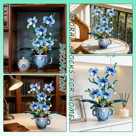ONIMISC Orchid display suits offices and living spaces for refined decor.