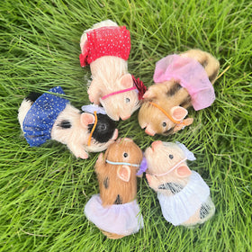OtardDolls 5 inch piggy great for collections, birthdays, and festive play moments.
