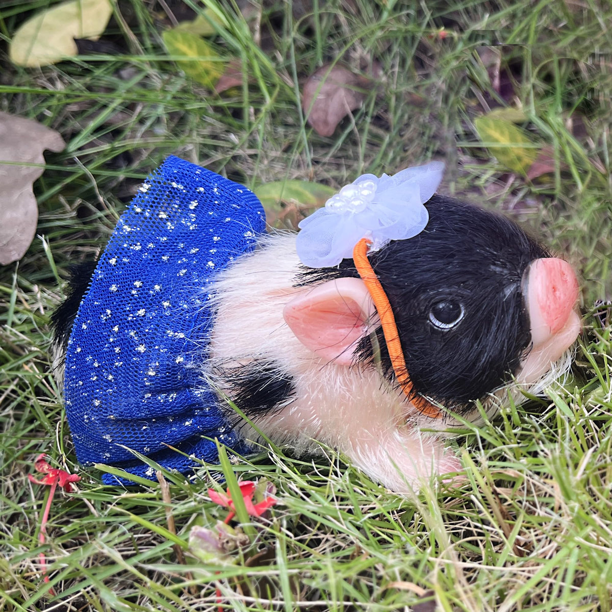 OtardDolls silicone piggy is BPA-free and safe for gentle play and cleaning.