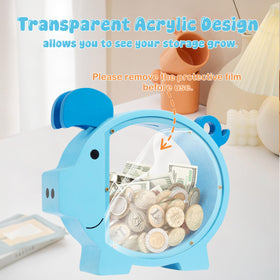 Pamctry piggy bank clear acrylic window shows progress
