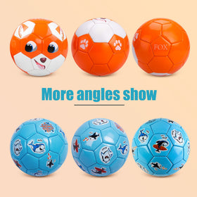 Paokoo cartoon ball for indoor and outdoor play in any setting.