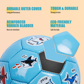 Paokoo size-2 beginner ball supports safe kicking and early coordination.