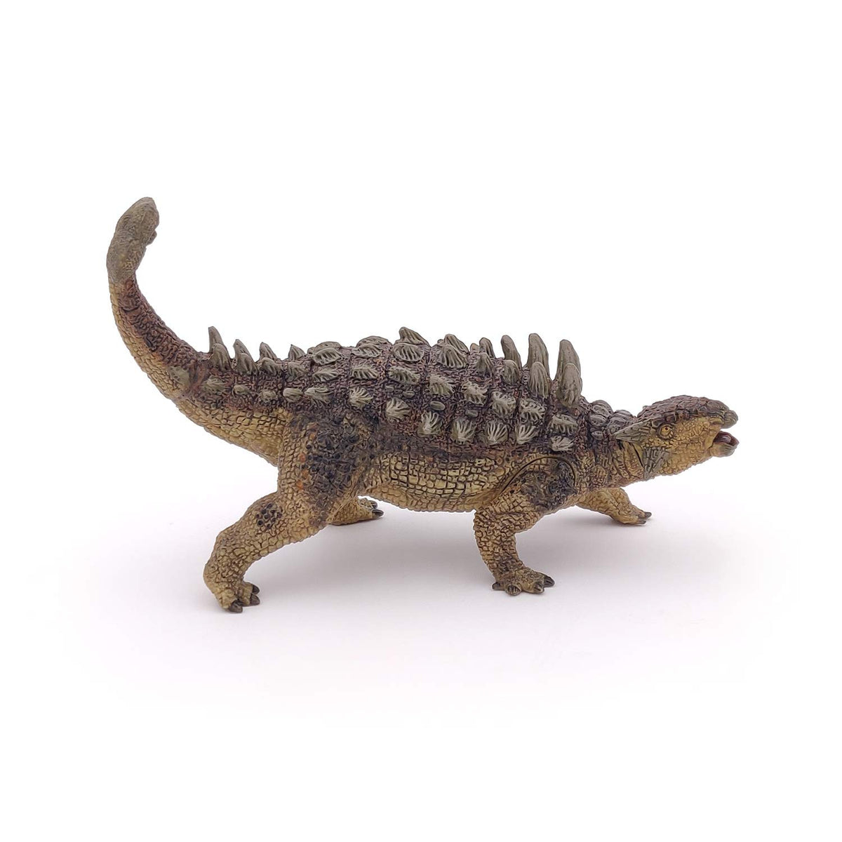 Papo Ankylosaurus spiked armor plating lends realistic texture for classroom demos.