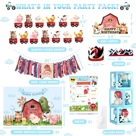 Party Inspo number 1 foil balloon highlights your baby's first birthday.