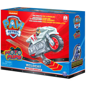 Encourages imaginative play with PAW Patrol pups across adventures.