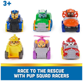 PAW Patrol Pup Squad Racer Skye car for kids, great for speedy adventures and creative play.
