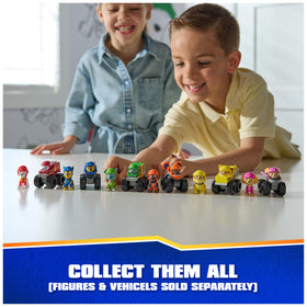 PAW Patrol Rescue Wheels all six racers, complete collection for racing fun.