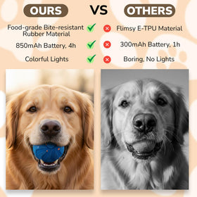 PAWLEXA ball 8.2 cm diameter fits all breeds for versatile play.