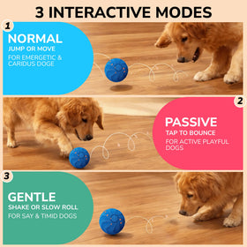 PAWLEXA ball features durable E-TPU shell for strong chewers.